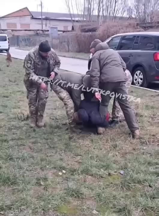 ����� "���������" �������