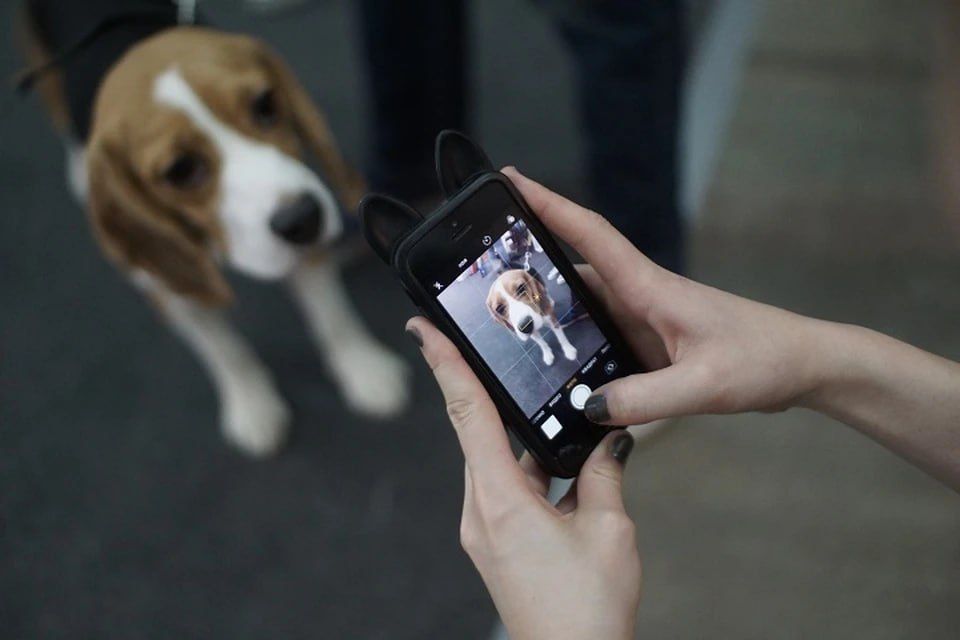 � ����������� ������� ���� ������������ ��� �������� ��� ������ ����������