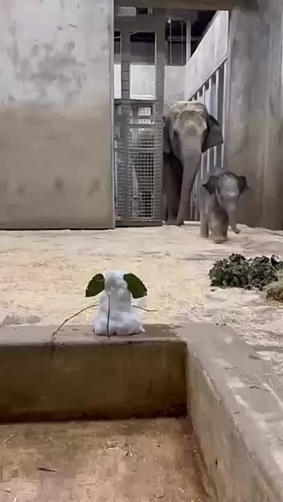 ������ �� ����: �������� �������� ������, ��� ����� ����