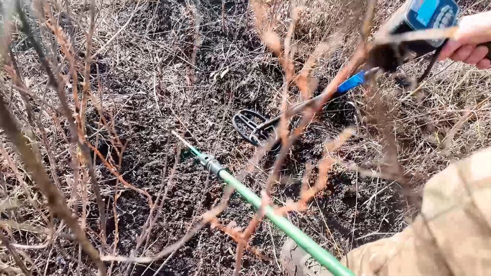 ������-���������� ���������� ���� ��� � ����������� �������