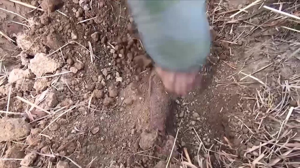 ���� ��� - �����!�