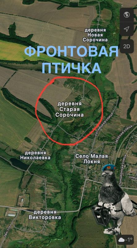 ������� �������. ������ ��������. ����������� ������� �����. ���. 22.01 08:00