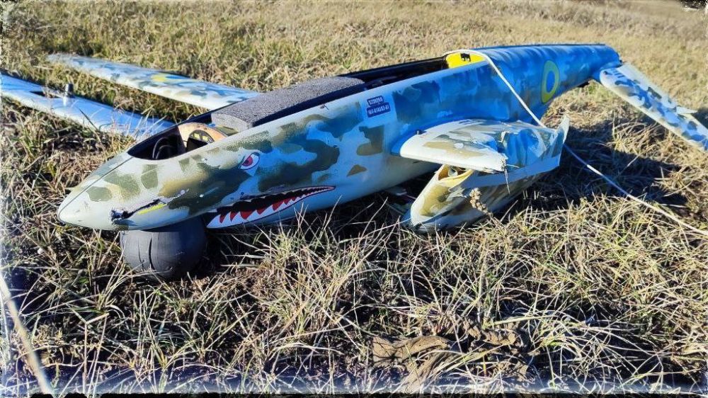 ������ ���� Shark-D ��� ���-�� �� ������