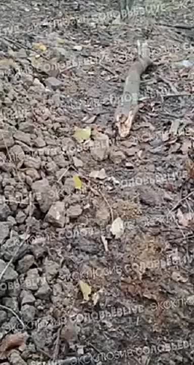 �������� ������� � ���� � ������ ������� ���������
