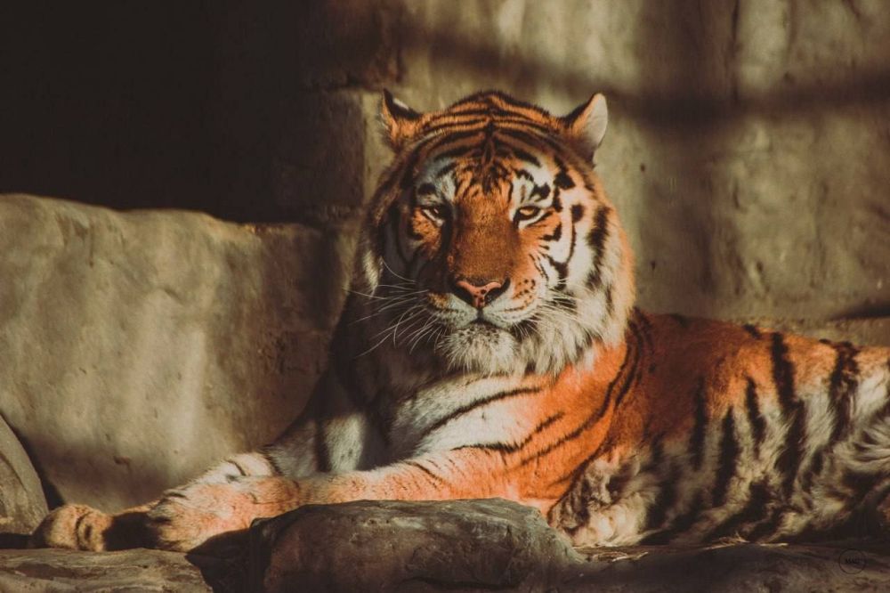 ������� ������: ������ � �������, ������� � ������� �������� ����� ����������, � � ��� � ��� ���������� ���������� �����