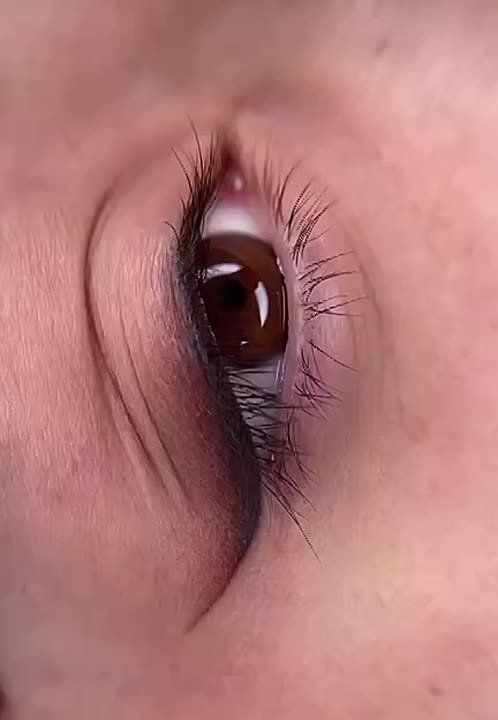 5 ������ ������ ����� ������������ ������