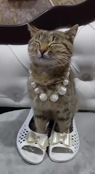 ������ ����, ������!. ���� ��� ��������� ������� ������ ��� ����� ��� ������� � ������� � ���������� � ���������������, ������ ������� ����� ���� ���))