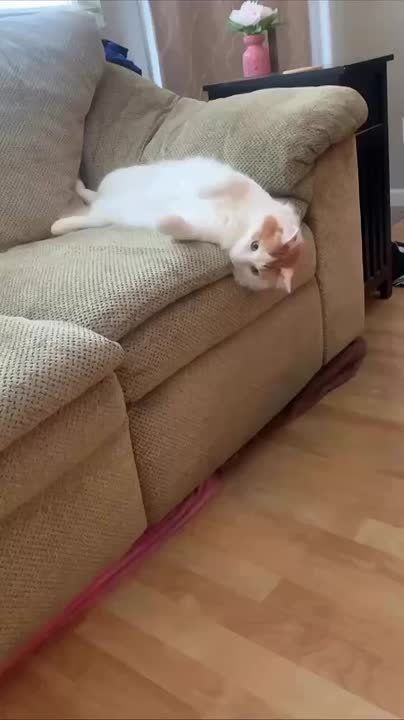 ������ ����, ����������� �������!