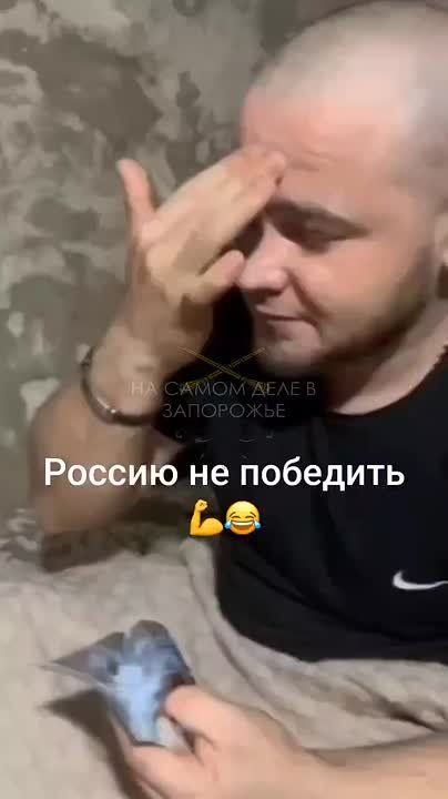 ����������� �����������