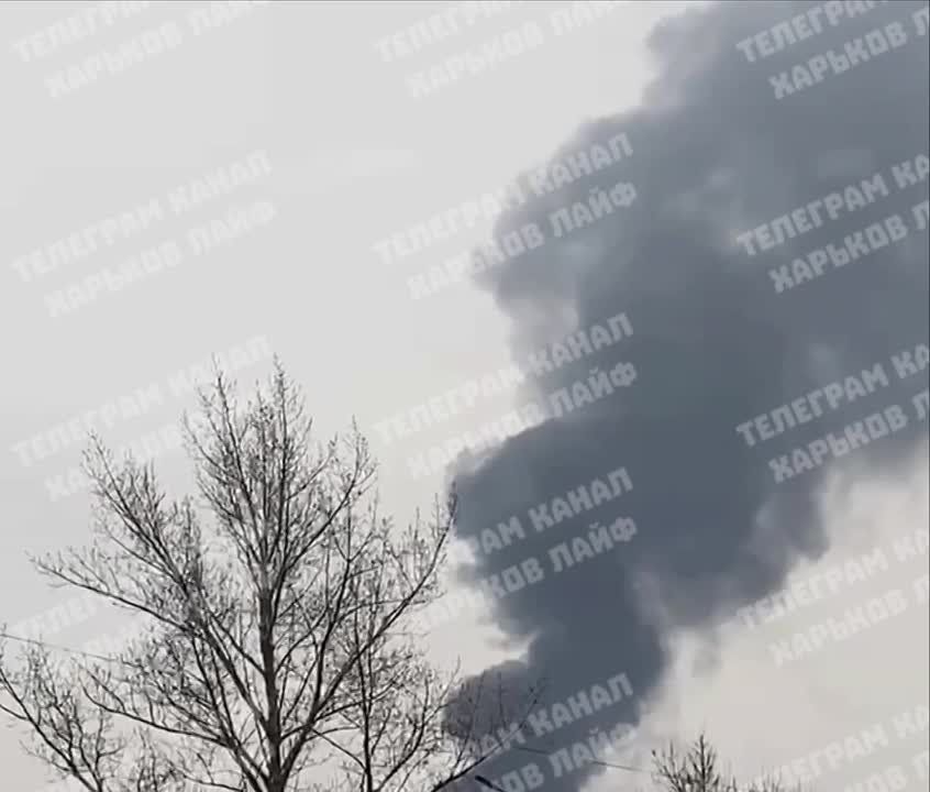 � �������� ����� �����. ����� ������ ������� �����