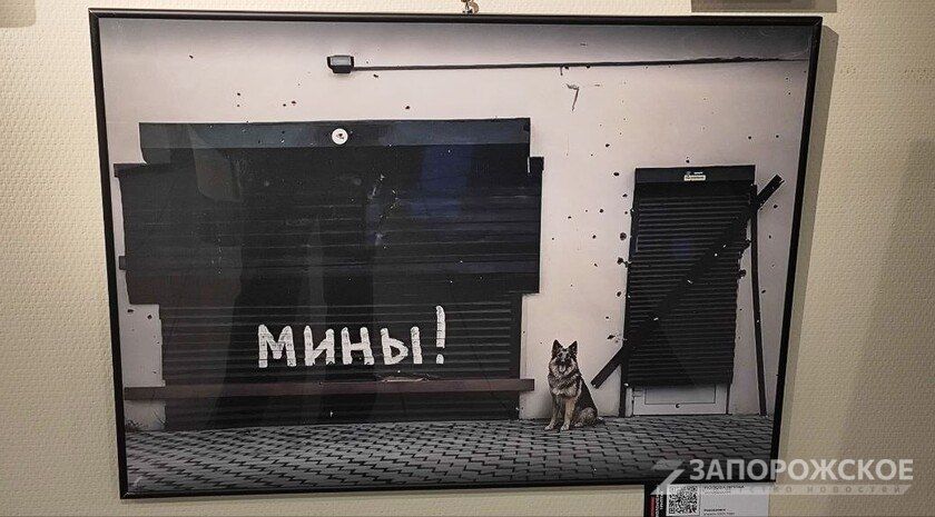 ������� ����������: � ������ ������ ������������ � ������� ���������� � ��������