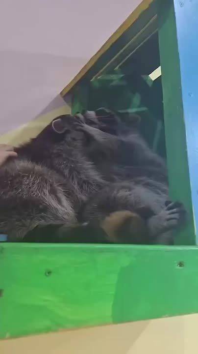 ������ ����, ������! �������� ��� ��� � ��������� ����������!