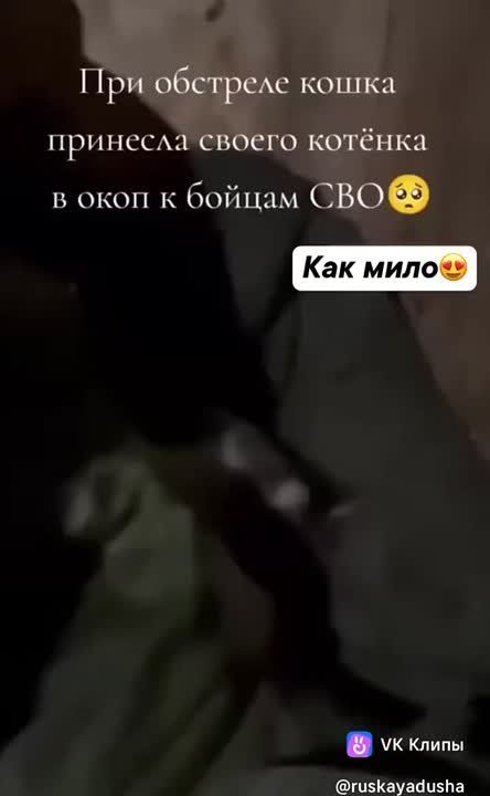 ������ ���: ����� �������� ������ ������� � ���� � ����� ������� �� ����� ��������