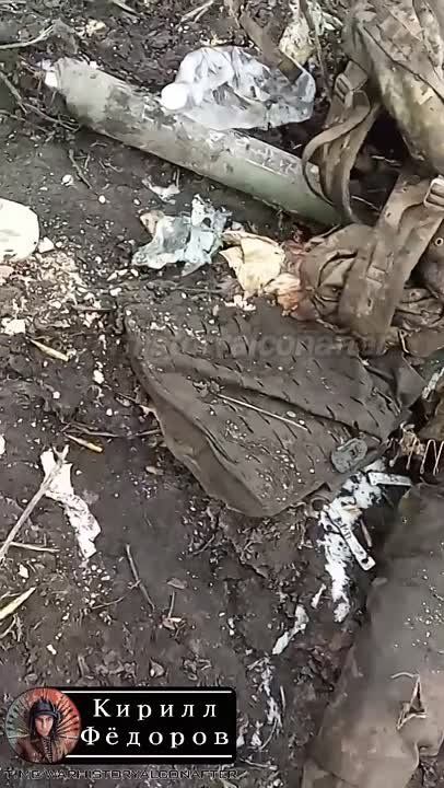 ��������������� ���������� ���������� � ������ ������ ������ ������� �������