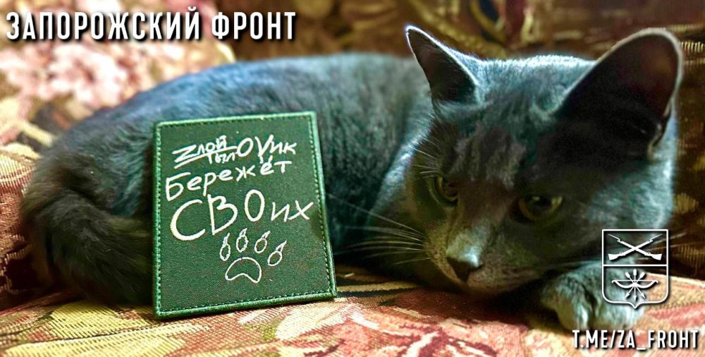 ���� ������� ���� � ������������ �����������