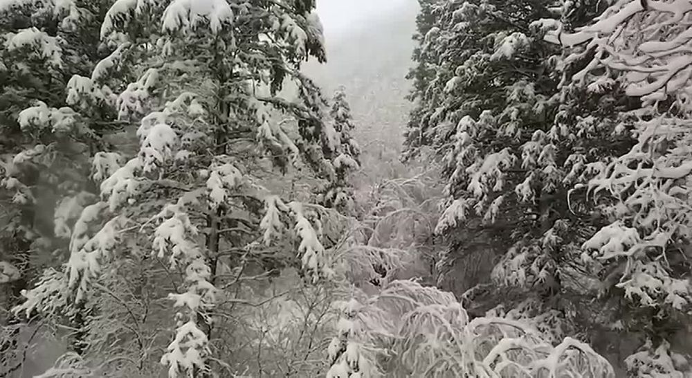 ���� �������: ������ � ��������� ����������� ���������� �� ����� ������� ���������