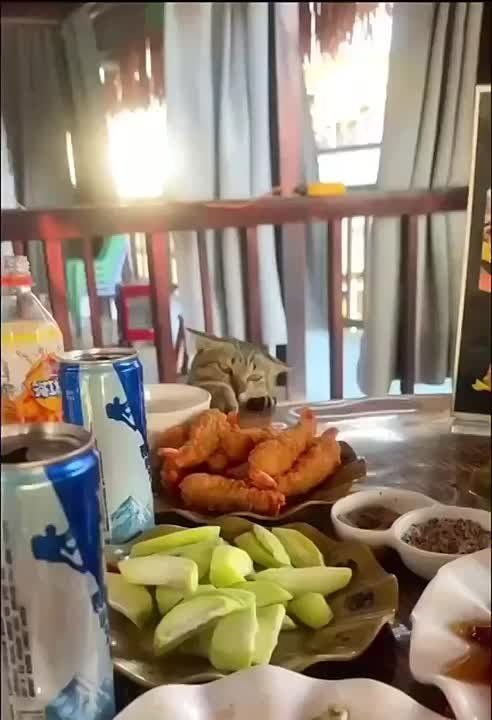 ���������� � ������ � ����� �������� ����!