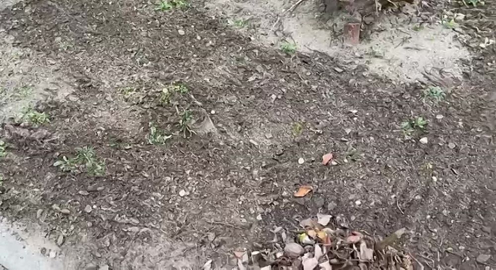 ���������� ��� "����� ���������� ���������" ���������� ���������� � ������� ������