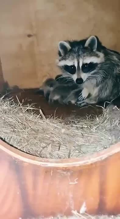 ������ ����, ������! �������� ��� ��� � ��������� ����������!