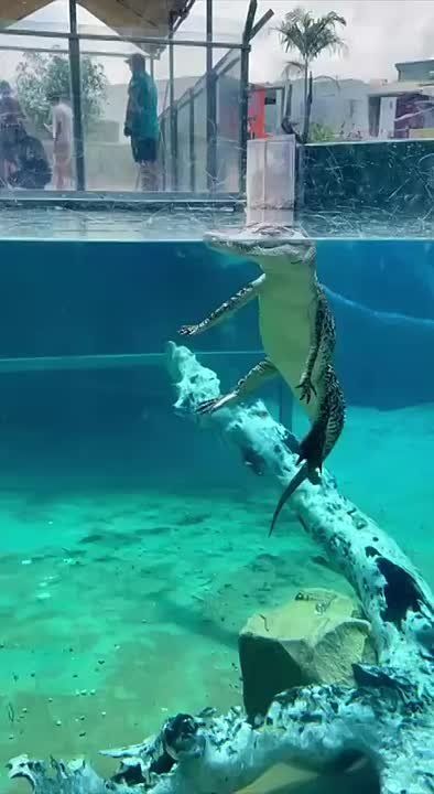 ������ �� ������� � ������ ������� ���� ���� ������