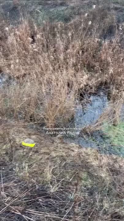 ��������� ����� ����� 110 �������� �� ������� ��������� ����� ���� ������ ���