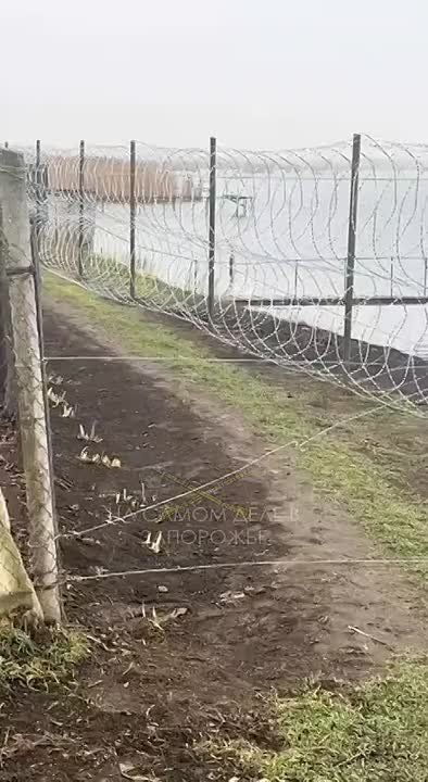 �� ������ ����, �� ����� ��������
