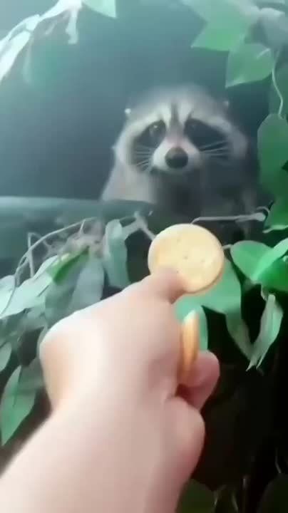 ������ ����, ������! �������� ��� ��� � ��������� ����������!
