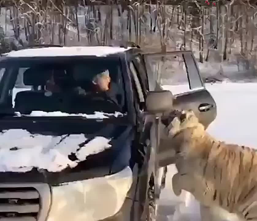 ����������� ����� �� ����������� ���� ������������ � ������� ��������
