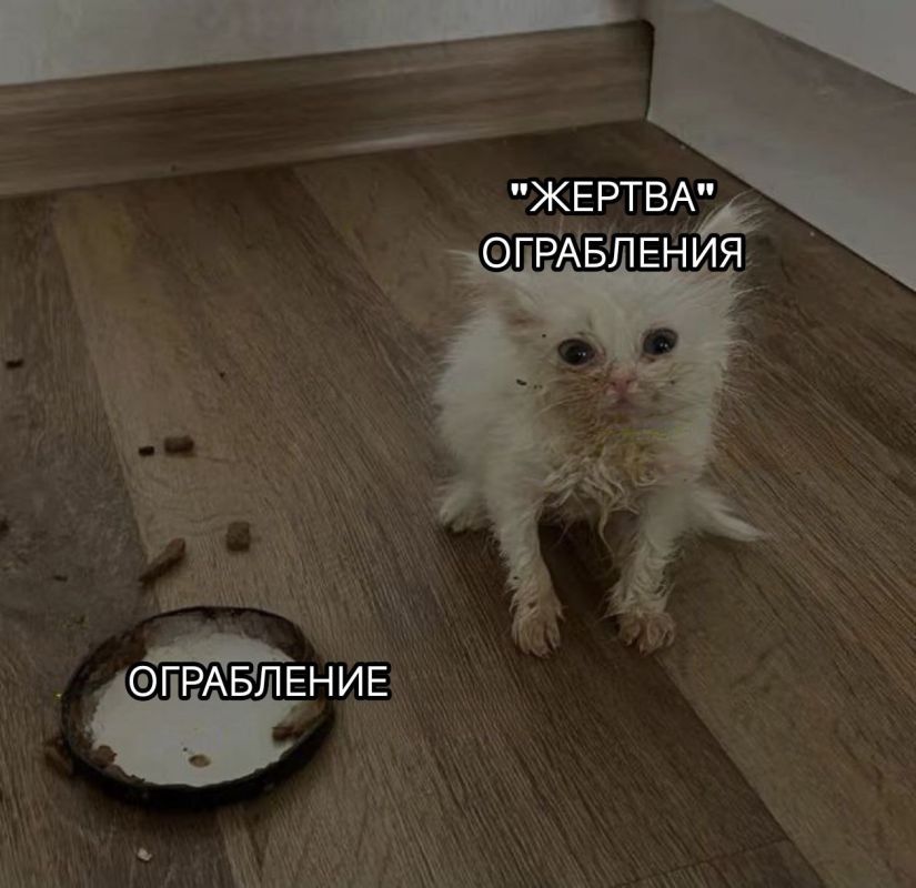 ���� ������������� ���������, ��� �� �������� ���� � ������ � � ����������