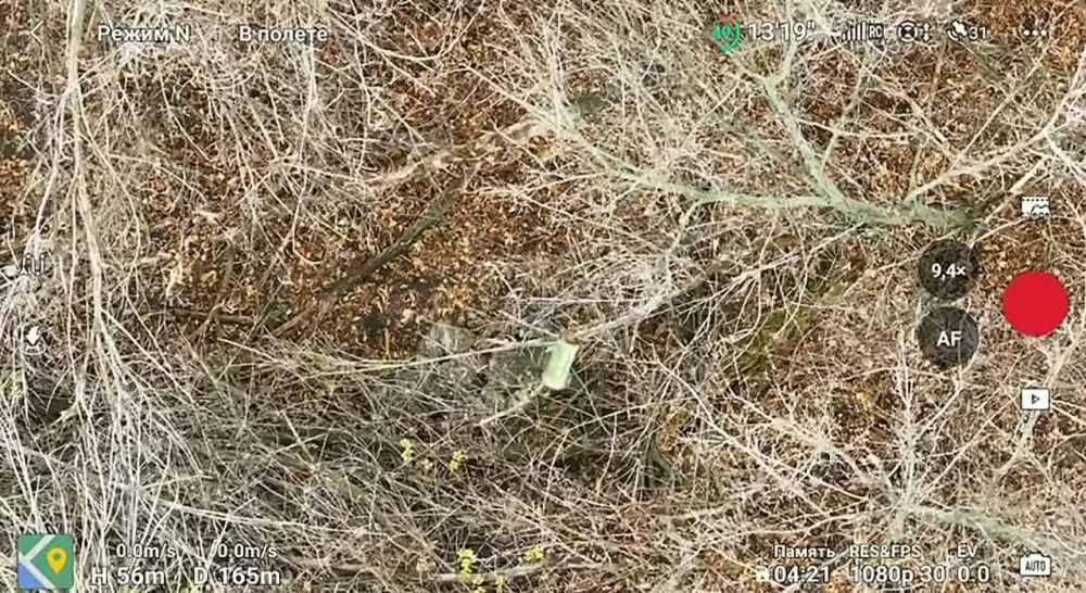 ���������� ������. ������������ � ����� ���� � ���������� ���������� ���� ���������
