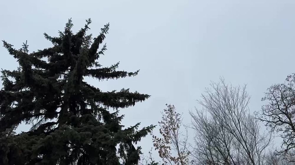 ������� ������ � ����������� ������ �� 30.01.2025