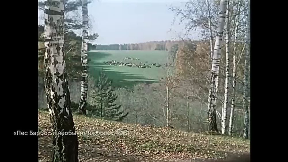 ��� ������ ������ ������ � ����� ������� � ������������� �����