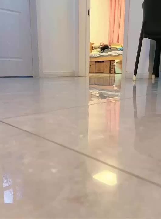 ������ ����� �� ������ � ���� �������