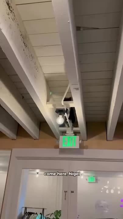������ ����! �������! ��� ��������� ������� �������?