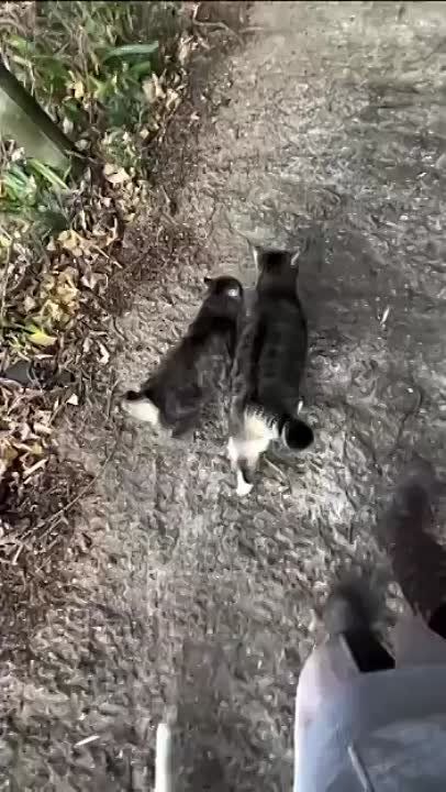 ����� ����� ������, ����� ����������� ������