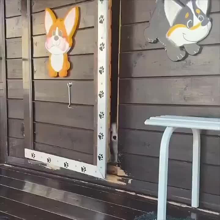 ��������� ��������� ������� � ������ ����������!