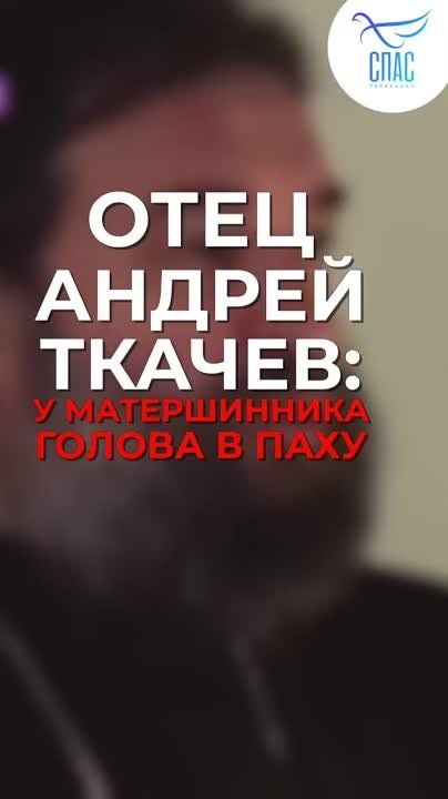 ���� �������: �������, 3 ������� � ��������� ���� ������ � ������������� ��������