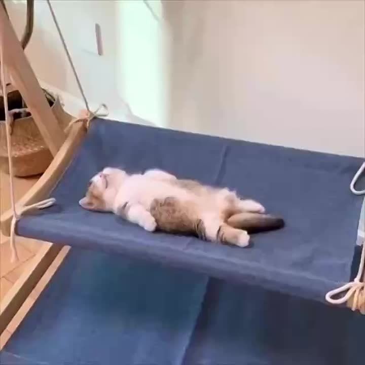 ��������� ������� ��������, ������� ������� � ������� ��������!
