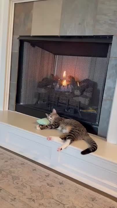 ������� ���� , ������� ������������!