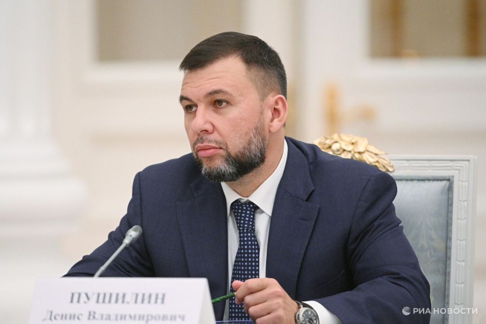 Пушилин заявил о давлении USAID на независимые СМИ