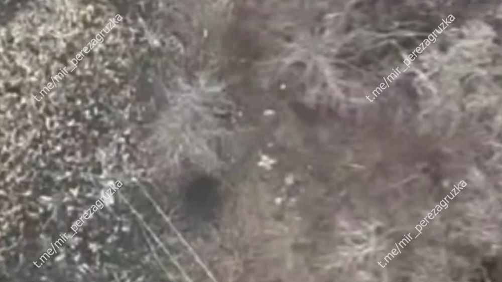 ����� ����������� ������� �� ������ ���������� �����������