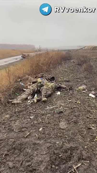 ������� ������� �������� ������� ����������