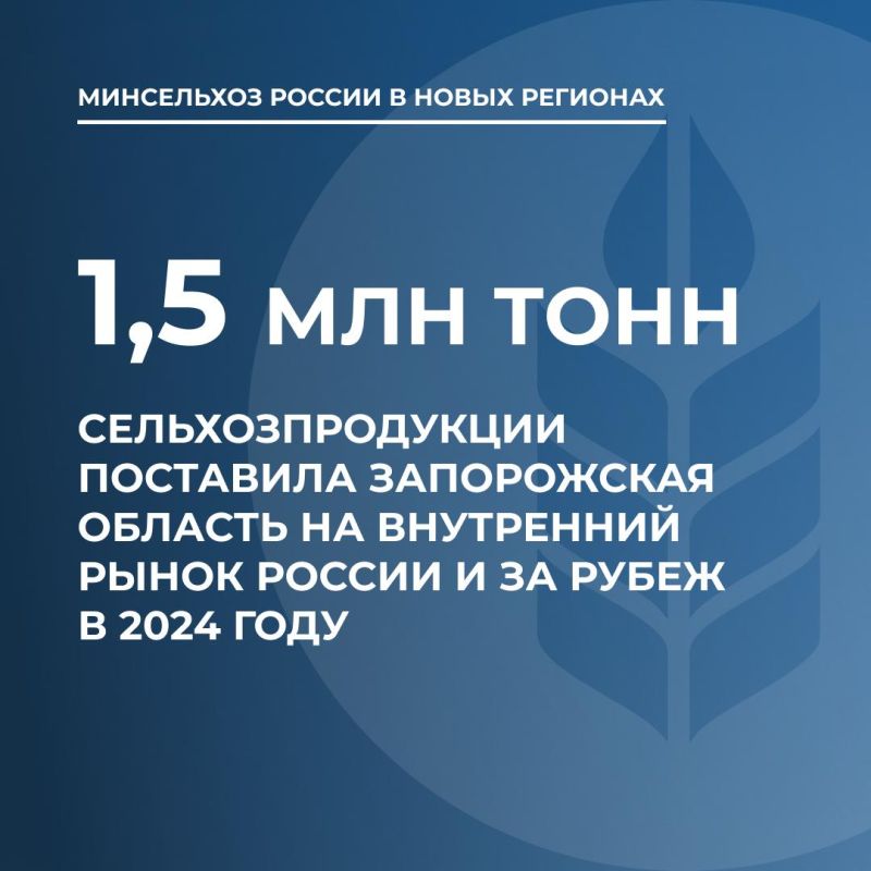 ����� ������ ���������������� �� ����������� ������� �������� � 2024 ���� 1,5 ��� ����