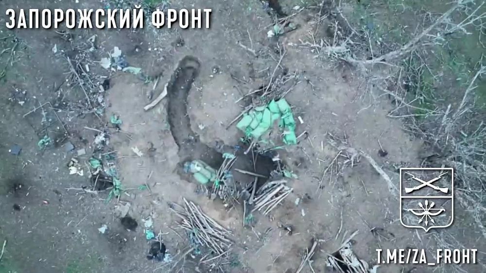 ������ ������ ���������� ������ �� �� �� ����������� �����������