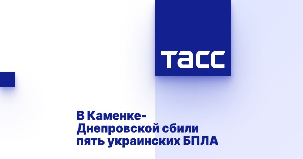 В Каменке-Днепровской сбили пять украинских БПЛА