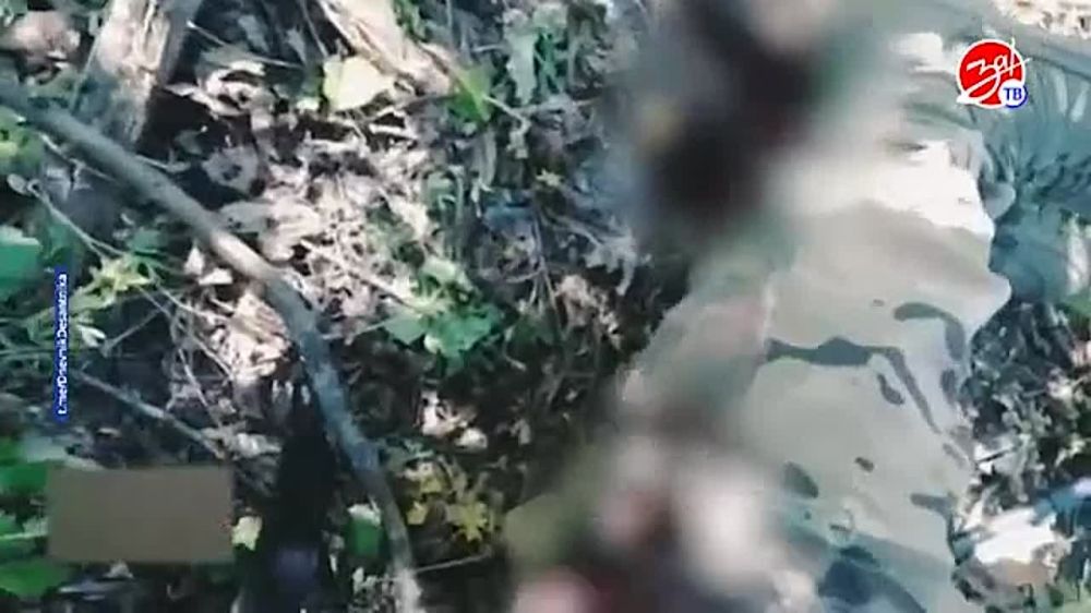 ������� ������ ��� �� ������ ��������