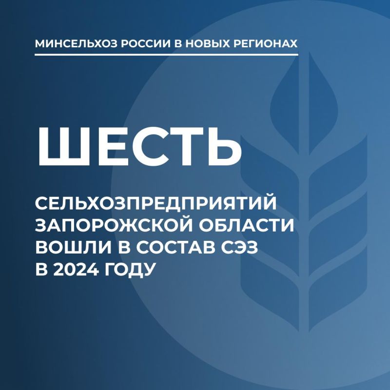 � 2024 ���� � ������ ��� ����� ��� ����� ����������� ������������������