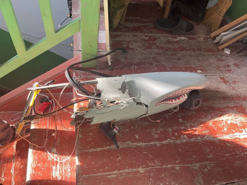 ������ ���� Shark-D ��� ���-�� �� ������