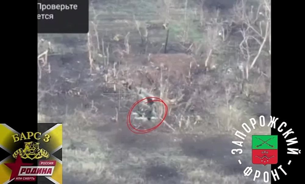 ��������� FPV-������ ������ ����-3 ���������� ������� � ����� ���� ���������� �� ����������� �����������