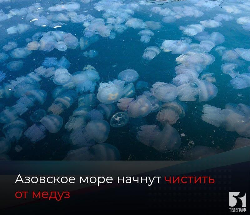�������� ���� ������ ������� �� �����